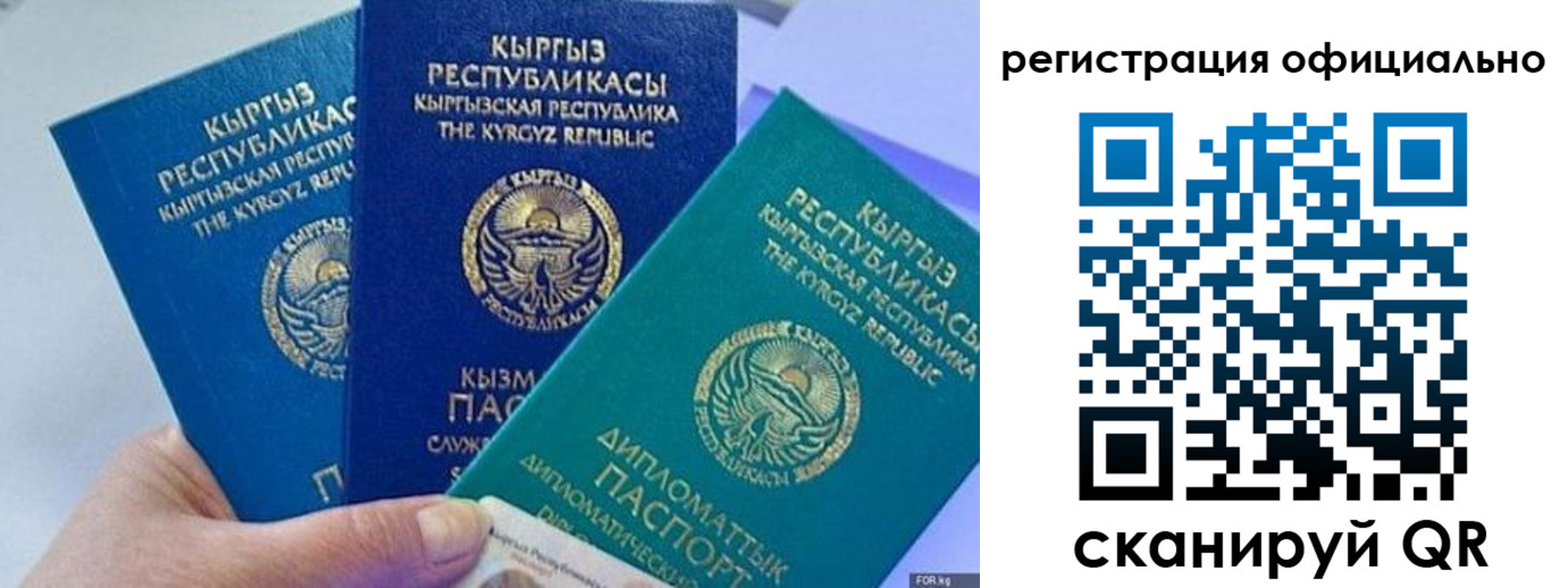 прописка в Лосино-Петровском